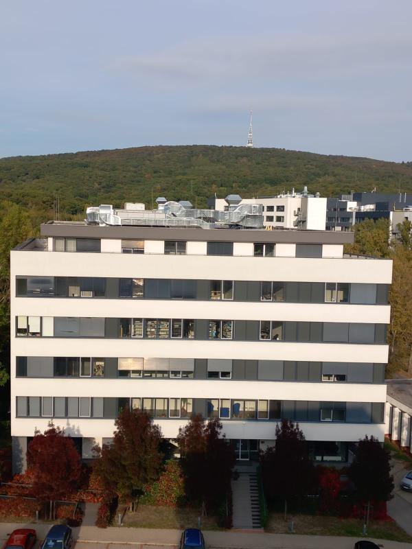 Notice of the election of member of the Scientific Council of the Institute of Materials and Machine Mechanics SAS