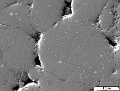 SEM microstructure 3