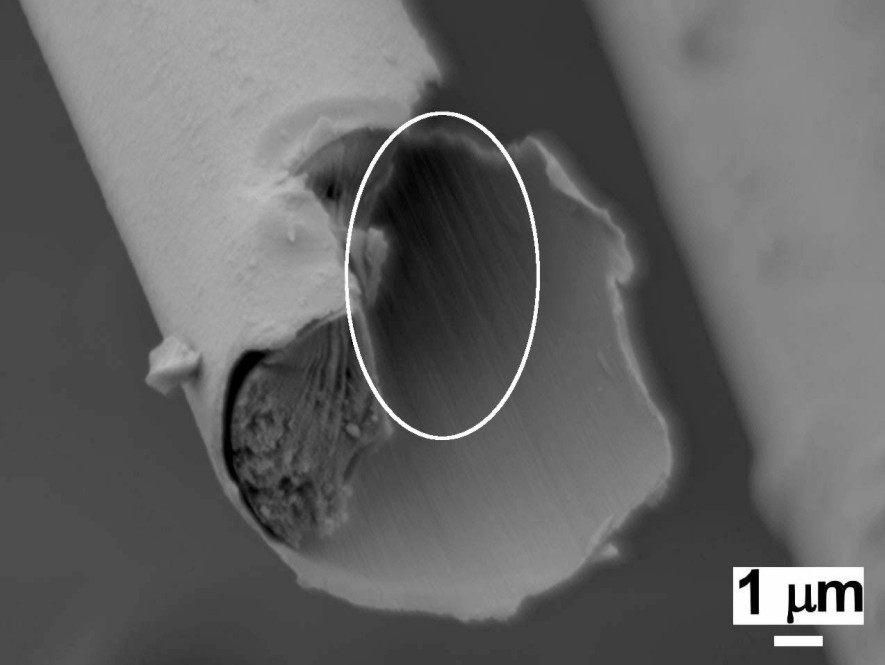 C fibre surface morphology